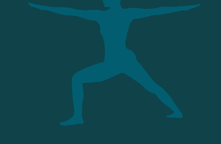 Yin and Restorative Yoga